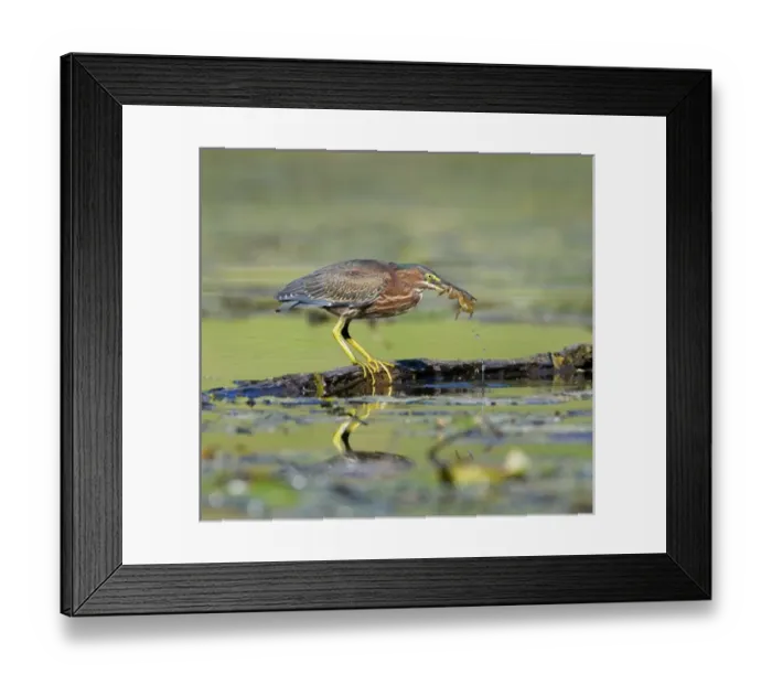 Framed Print : USA, North America, New Jersey Framed Print : USA, North America, New Jersey
