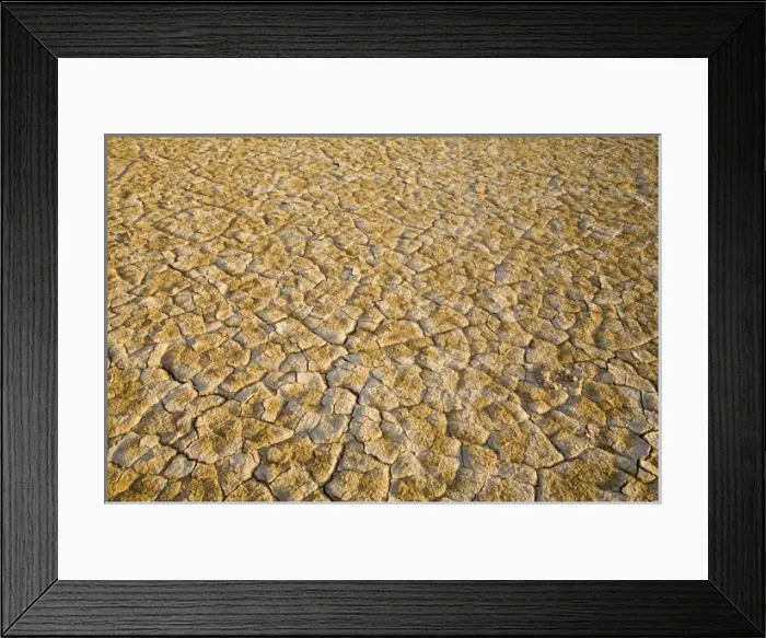 Framed Print : USA, North America, Oregon