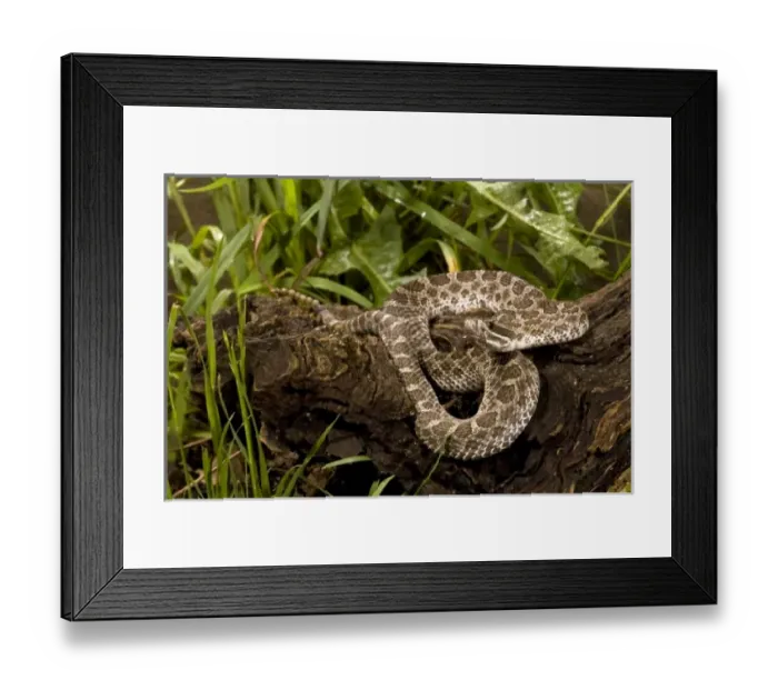 Framed Print : USA, North America, Pennsylvania Framed Print : USA, North America, Pennsylvania