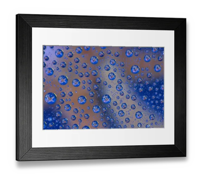 Framed Print : Dew Drop reflection of Starfish, Sammamish Washington Framed Print : Dew Drop reflection of Starfish, Sammamish Washington