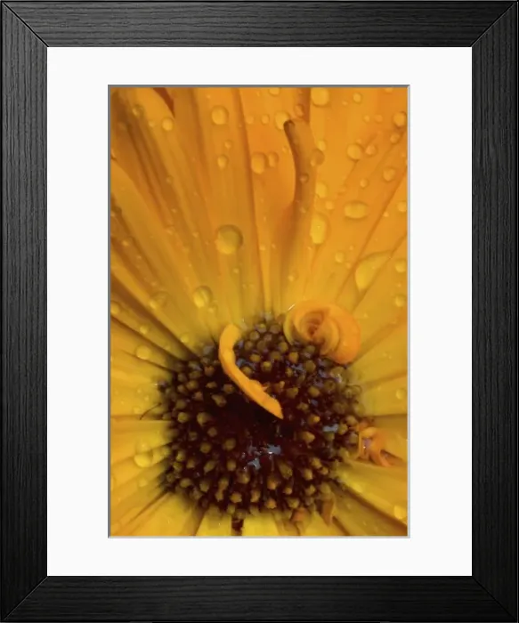 Framed Print : USA, North America, Washington Framed Print : USA, North America, Washington