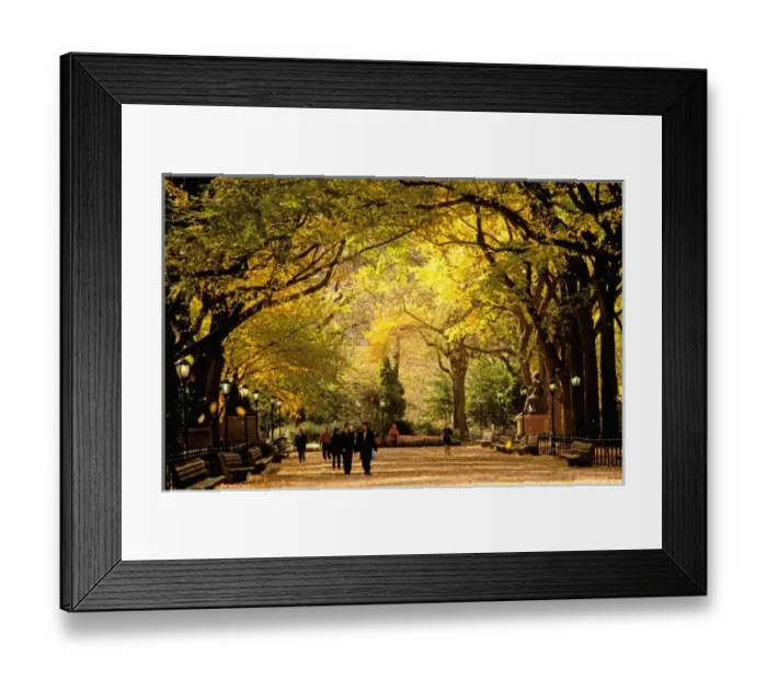 Framed Print : USA, North America, New York
