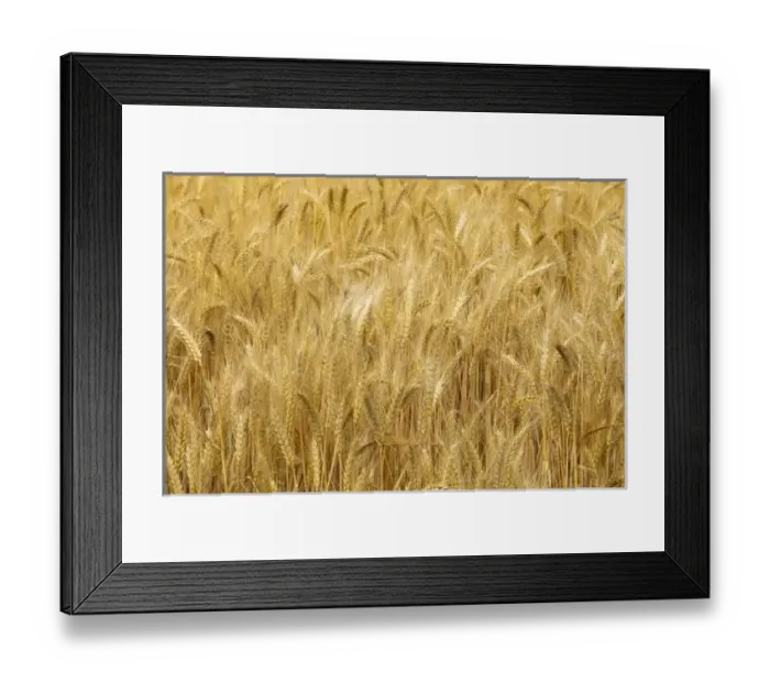 Framed Print : USA, North America, Washington