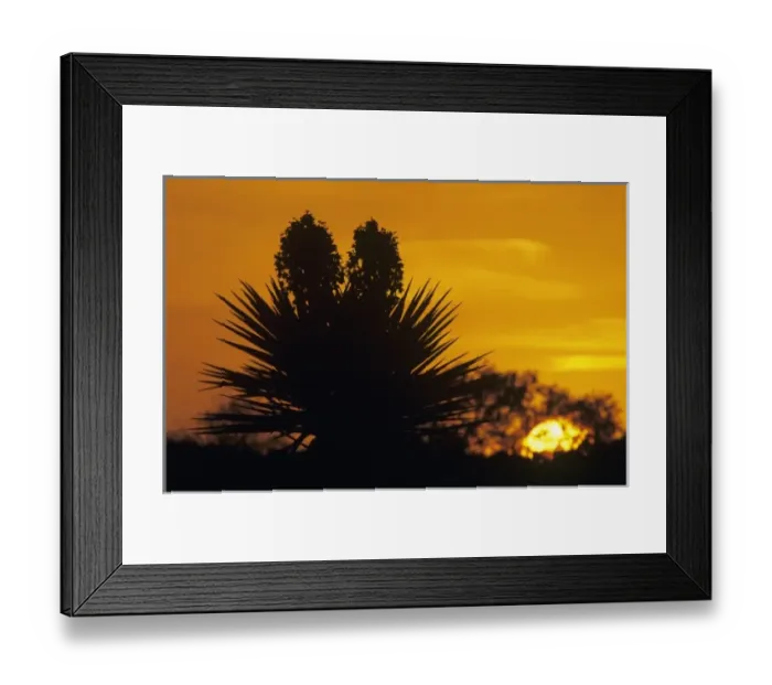 Framed Print : USA, North America, Texas Framed Print : USA, North America, Texas