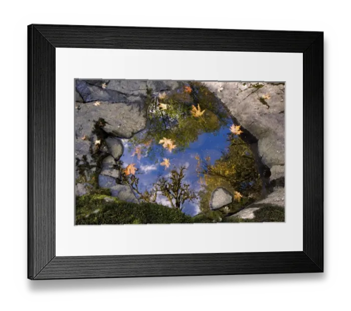 Framed Print : USA, Oregon, Sweet Creek. Bright blue sky and trees reflect in a small pool near Sweet Creek