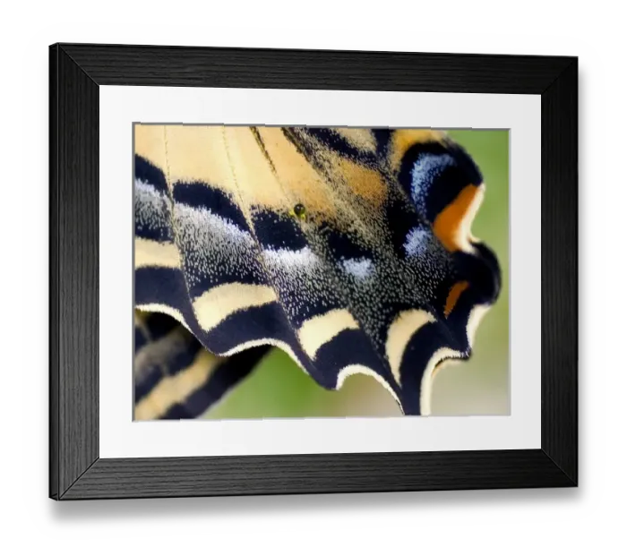 Framed Print : USA, North America, Oregon Framed Print : USA, North America, Oregon