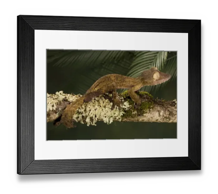 Framed Print : USA, North America, Pennsylvania