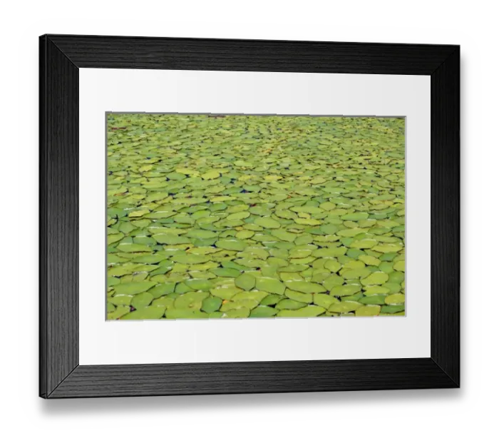 Framed Print : USA, North America, Oregon