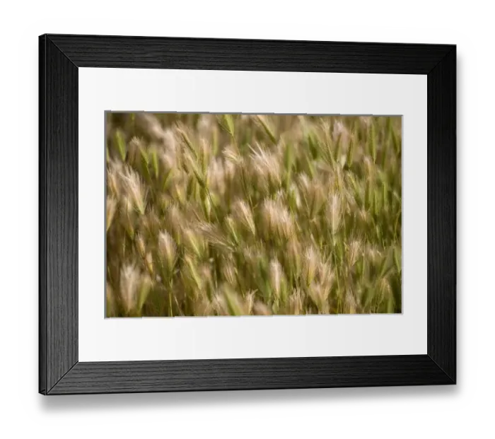 Framed Print : USA, North America, Oregon Framed Print : USA, North America, Oregon