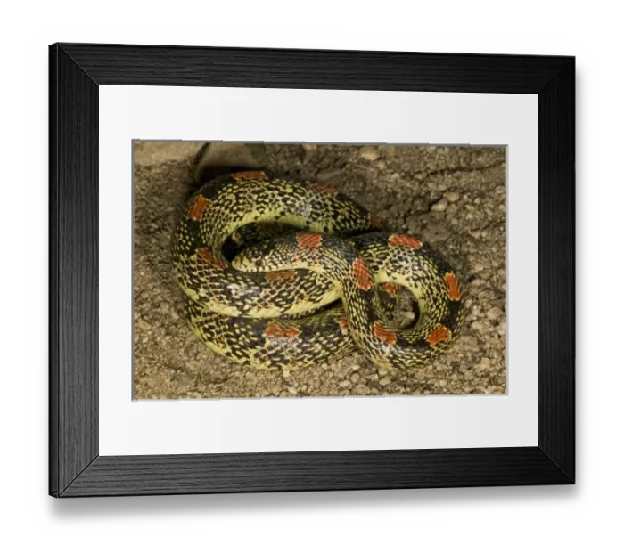 Framed Print : USA, North America, Pennsylvania Framed Print : USA, North America, Pennsylvania