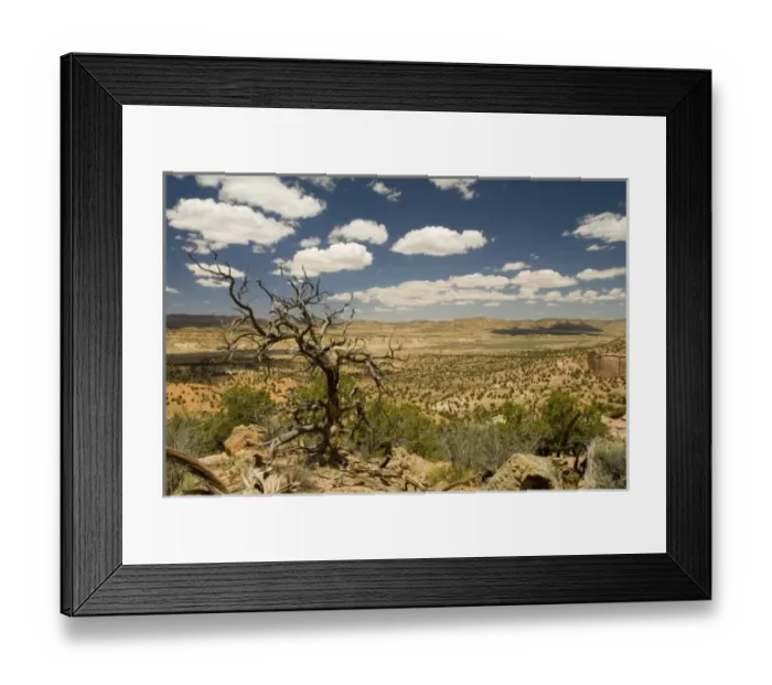 Framed Print : USA, North America, New Mexico Framed Print : USA, North America, New Mexico
