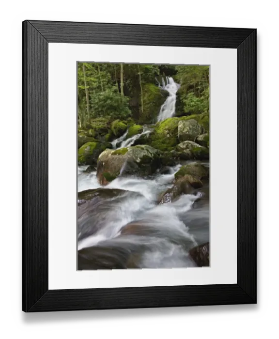 Framed Print : USA, North America, North Carolina Framed Print : USA, North America, North Carolina