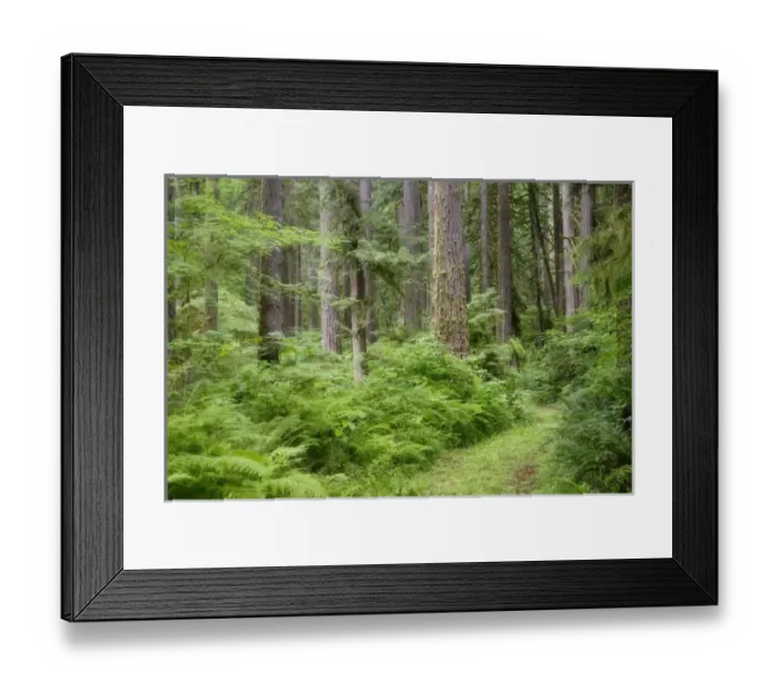Framed Print : USA, North America, Washington Framed Print : USA, North America, Washington