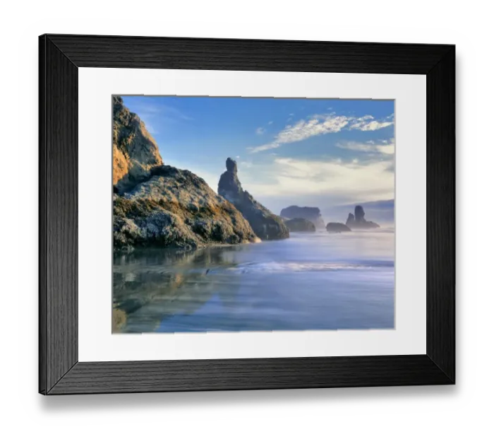 Framed Print : USA, Oregon, Face Rock Wayside. The Pacific Ocean baths the sea stacks at Face Rock Wayside Framed Print : USA, Oregon, Face Rock Wayside. The Pacific Ocean baths the sea stacks at Face Rock Wayside