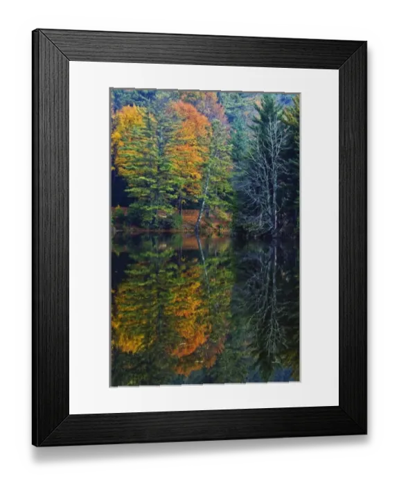 Framed Print : USA, North America, North Carolina