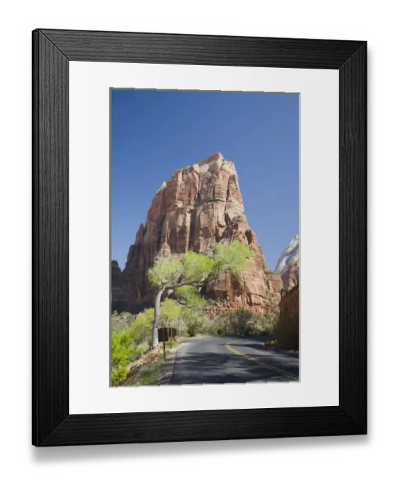 Framed Print : Utah, Zion National Park, Angels Landing, towers 1488 feet above the canyon floor