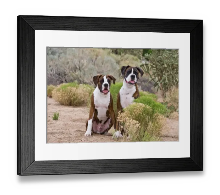 Framed Print : USA, North America, New Mexico