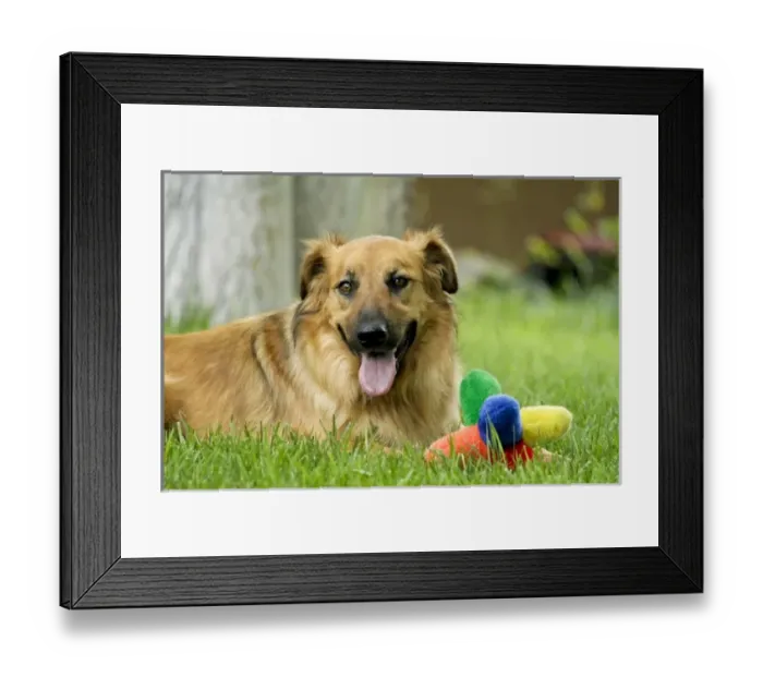 Framed Print : USA, North America, New Mexico