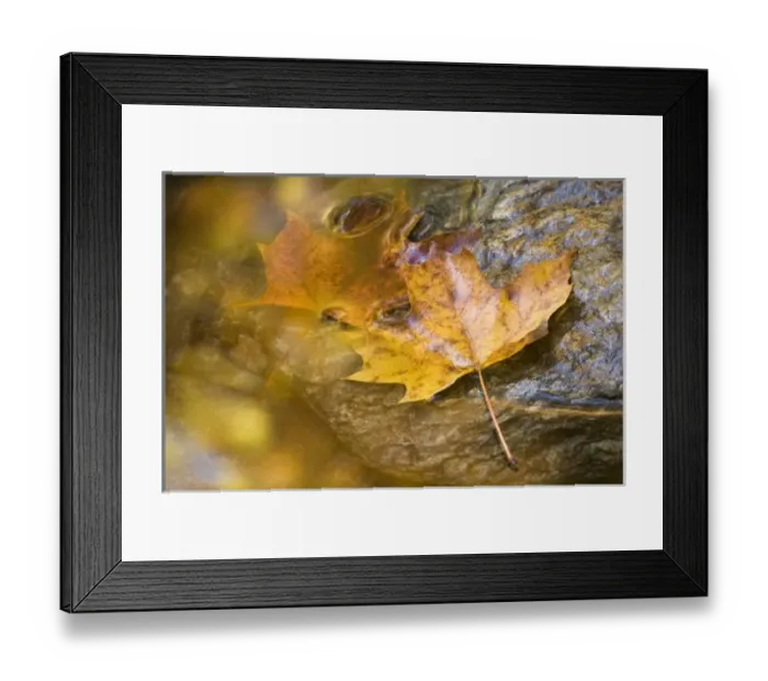 Framed Print : USA, North America, Vermont