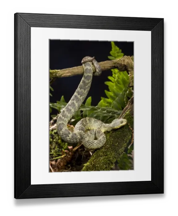 Framed Print : USA, North America, Pennsylvania