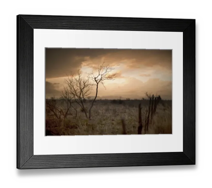 Framed Print : USA, North America, Texas Framed Print : USA, North America, Texas