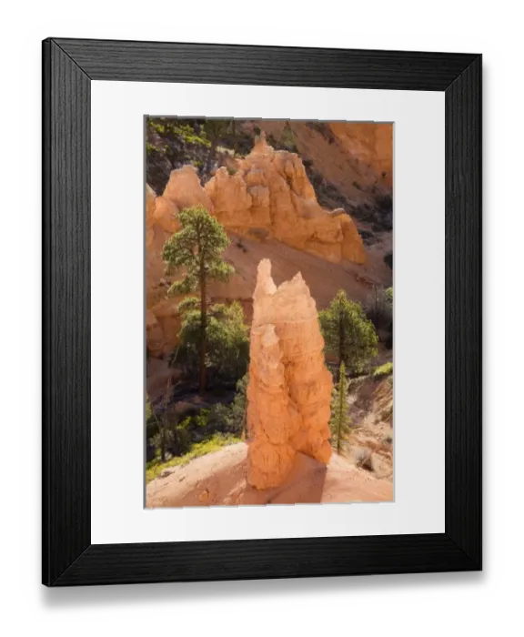 Framed Print : Utah, Bryce Canyon NP, Queens Garden Framed Print : Utah, Bryce Canyon NP, Queens Garden
