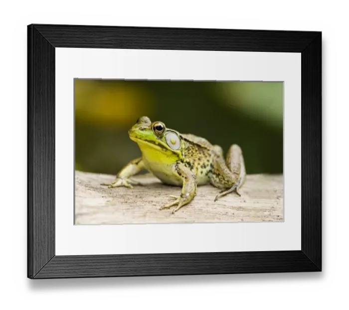 Framed Print : USA, North America, New Jersey Framed Print : USA, North America, New Jersey