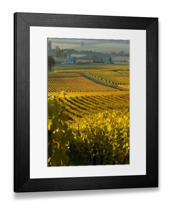 Framed Print : USA, North America, Oregon Framed Print : USA, North America, Oregon