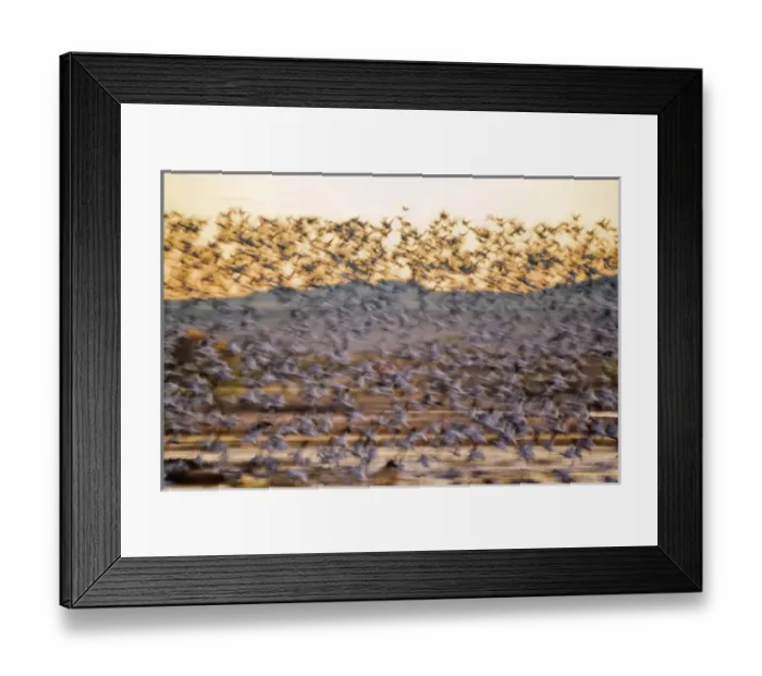 Framed Print : USA, North America, New Mexico