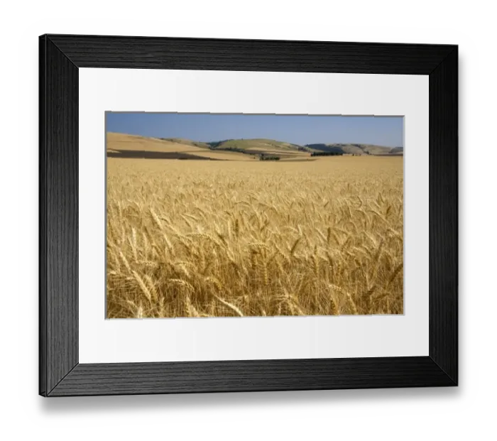 Framed Print : USA, North America, Oregon Framed Print : USA, North America, Oregon