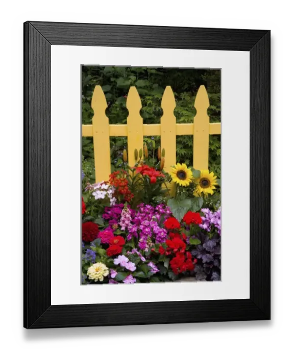 Framed Print : USA, North America, Washington Framed Print : USA, North America, Washington