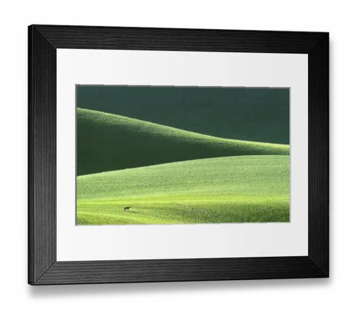 Framed Print : USA, North America, Washington Framed Print : USA, North America, Washington