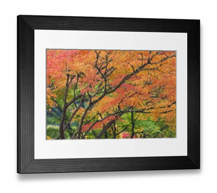 Framed Print : USA, North America, Oregon Framed Print : USA, North America, Oregon