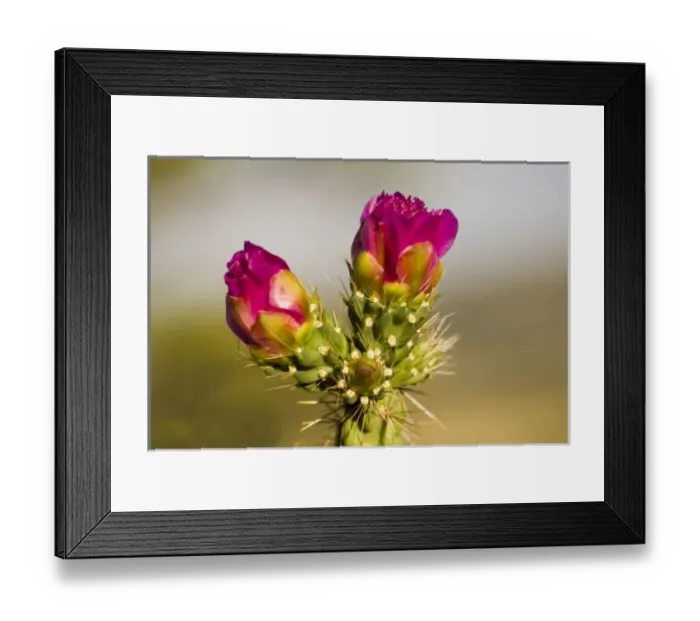 Framed Print : USA, North America, New Mexico Framed Print : USA, North America, New Mexico
