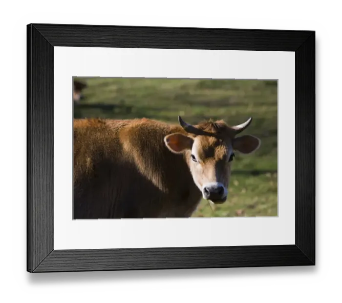 Framed Print : USA, North America, Vermont Framed Print : USA, North America, Vermont