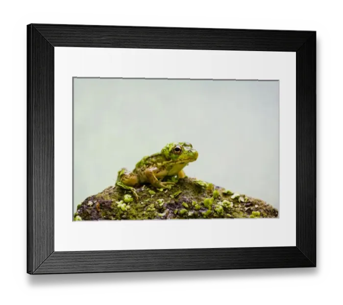 Framed Print : USA, North America, New Jersey Framed Print : USA, North America, New Jersey