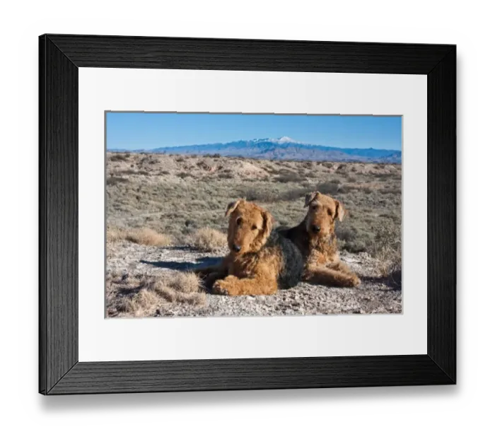 Framed Print : USA, North America, New Mexico Framed Print : USA, North America, New Mexico