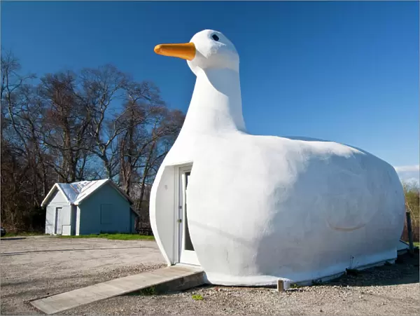 USA, New York, Long Island, Flanders. The Big Duck, area known for its duck farms