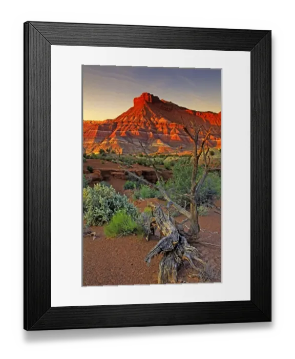 Framed Print : USA, Utah. Paria Canyon sandstone formation at sunset