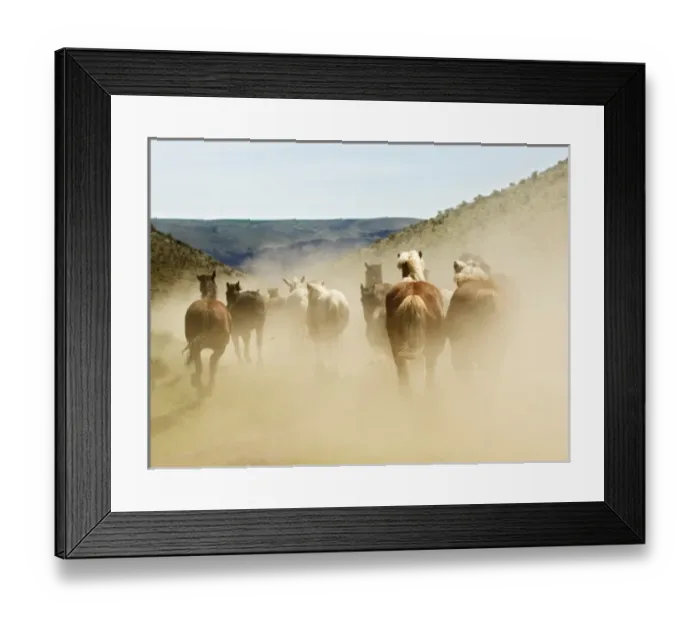 Framed Print : USA, North America, Washington