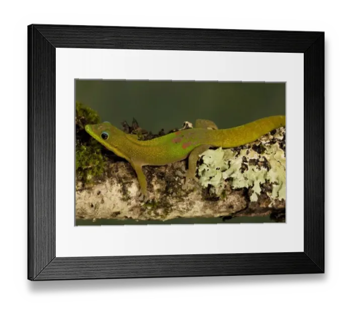Framed Print : USA, North America, Pennsylvania Framed Print : USA, North America, Pennsylvania