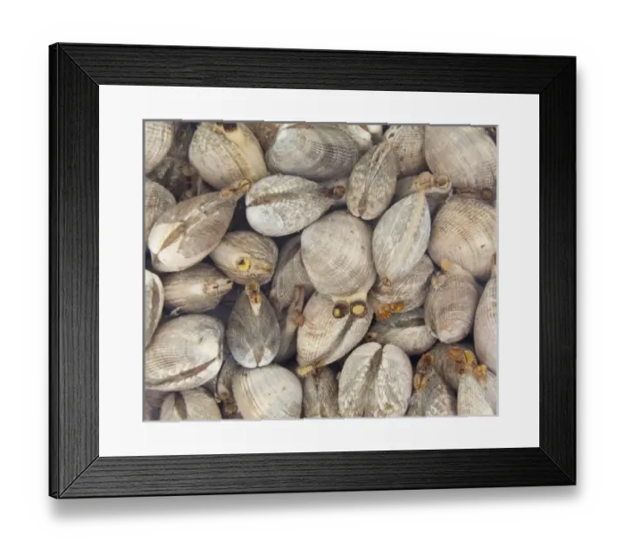 Framed Print : USA, North America, Washington Framed Print : USA, North America, Washington
