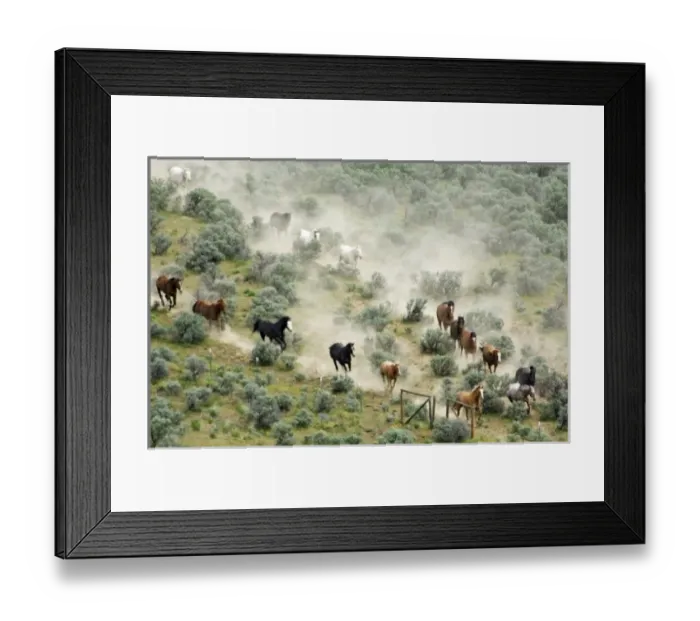 Framed Print : USA, North America, Washington Framed Print : USA, North America, Washington
