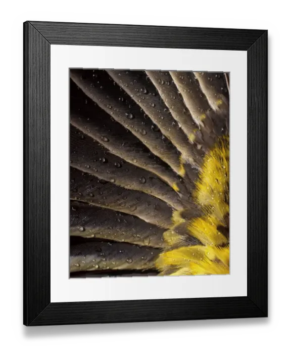 Framed Print : USA, North America, Oregon Framed Print : USA, North America, Oregon
