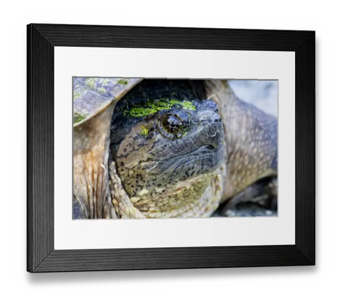Framed Print : USA, North America, New Jersey Framed Print : USA, North America, New Jersey