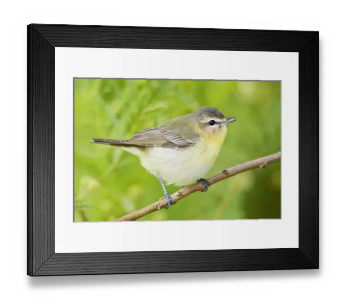Framed Print : USA, North America, Texas Framed Print : USA, North America, Texas