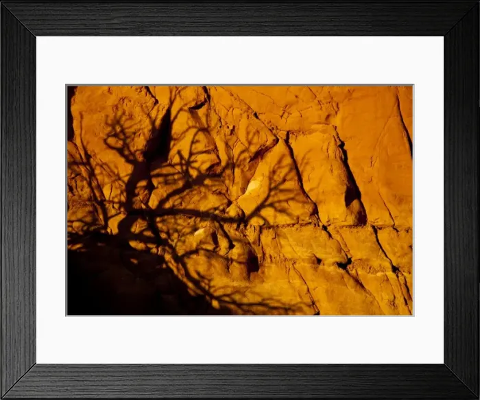 Framed Print : Tree limbs cast alien looking shadow on sandstone wall at Kodachrome State Park in Utah