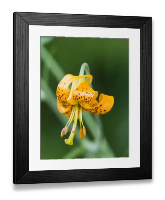 Framed Print : USA, North America, Washington Framed Print : USA, North America, Washington