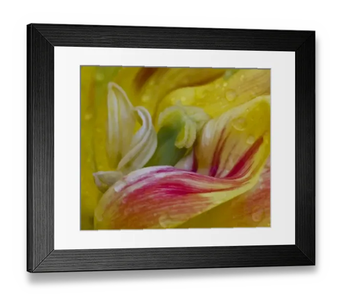 Framed Print : USA, North America, Ohio Framed Print : USA, North America, Ohio