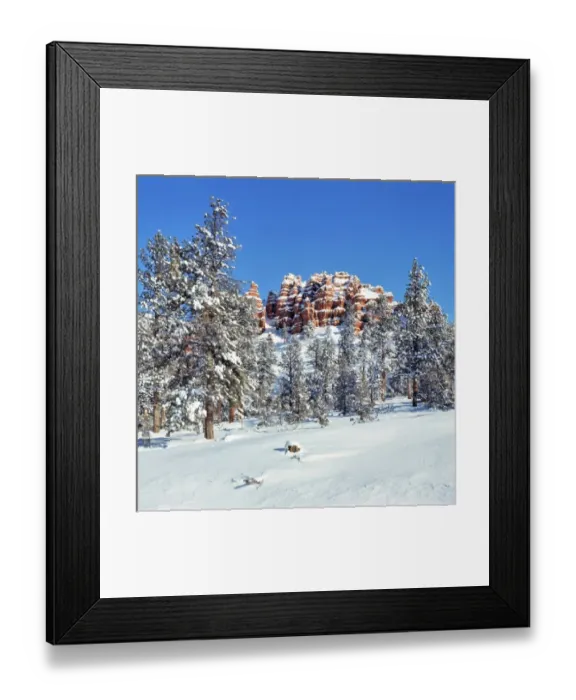 Framed Print : USA, Utah, Bryce Canyon NP. Fresh snow enhances the color on the sandstone bluffs Framed Print : USA, Utah, Bryce Canyon NP. Fresh snow enhances the color on the sandstone bluffs